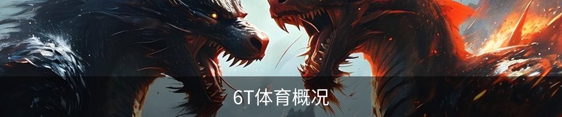 6T体育概况
